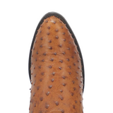 https://i.ebayimg.com/00/s/MTUwMFgxNTAw/z/kCgAAeSwCmBqAIbk/$_57.PNG?set_id=880000500F